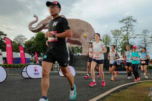 BIB: 
                            <button type="button" onclick="openModal(26528548)" class="btn btn-primary btn-sm float-right btn-popup" data-toggle="modal" data-target=".modal-high-quality">
                        <i class="fas fa-shopping-cart"></i> Add to Cart
                    </button>
                                            <button type="button" onclick="isThisMe(26528548, true)" class="btn btn-success btn-sm float-right btn-popup btn-isme hidden" data-toggle="tooltip" data-placement="bottom" title="นี่คือรูปของคุณใช่ไหม คลิกที่นี่เพื่อเอาเข้าอัลบั้ม">
                        <i class="fas fa-plus"></i> Add to album
                    </button>
                    <button type="button" onclick="isThisMe(26528548, false)" class="btn btn-warning btn-sm float-right btn-popup btn-isnotme hidden">
                        <i class="fas fa-ban"></i> Remove from album
                    </button>